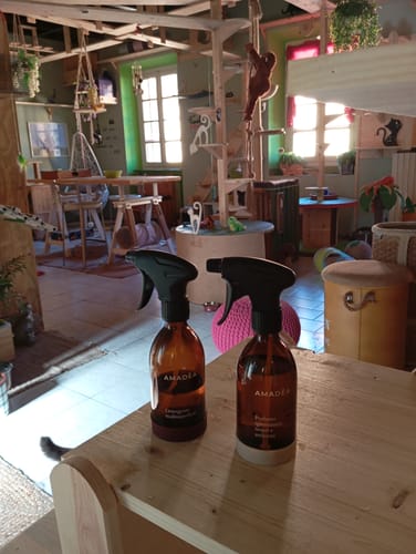 Customer photo review of Starter Kit - Essential