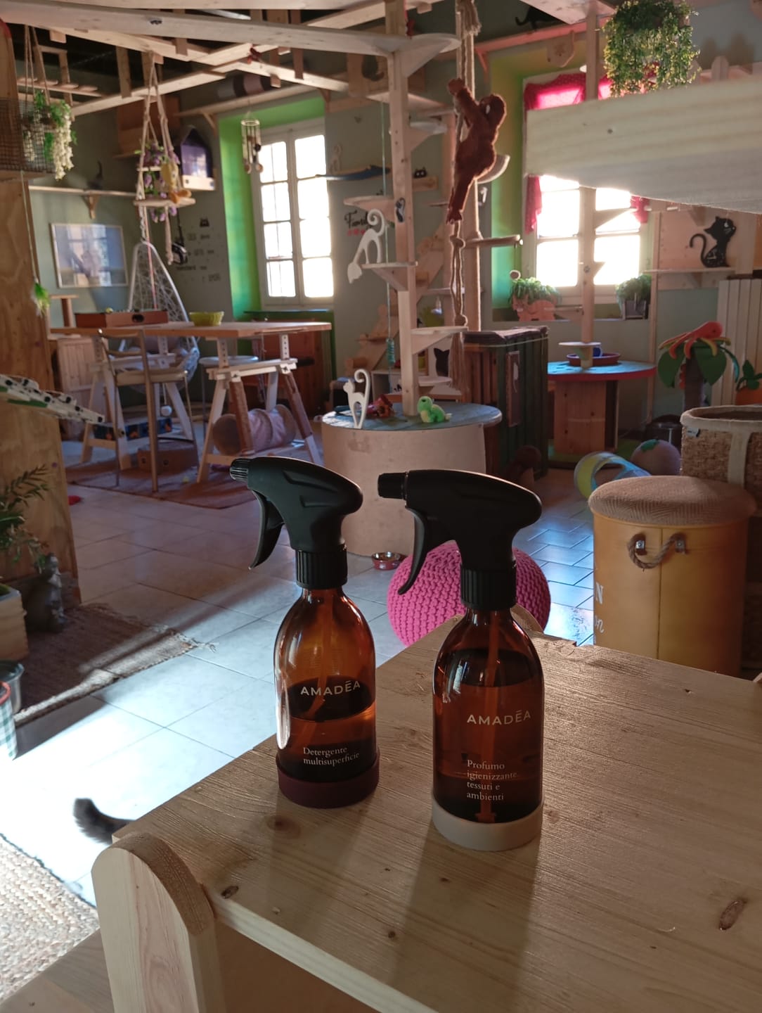 Customer photo review of Starter Kit - Essential
