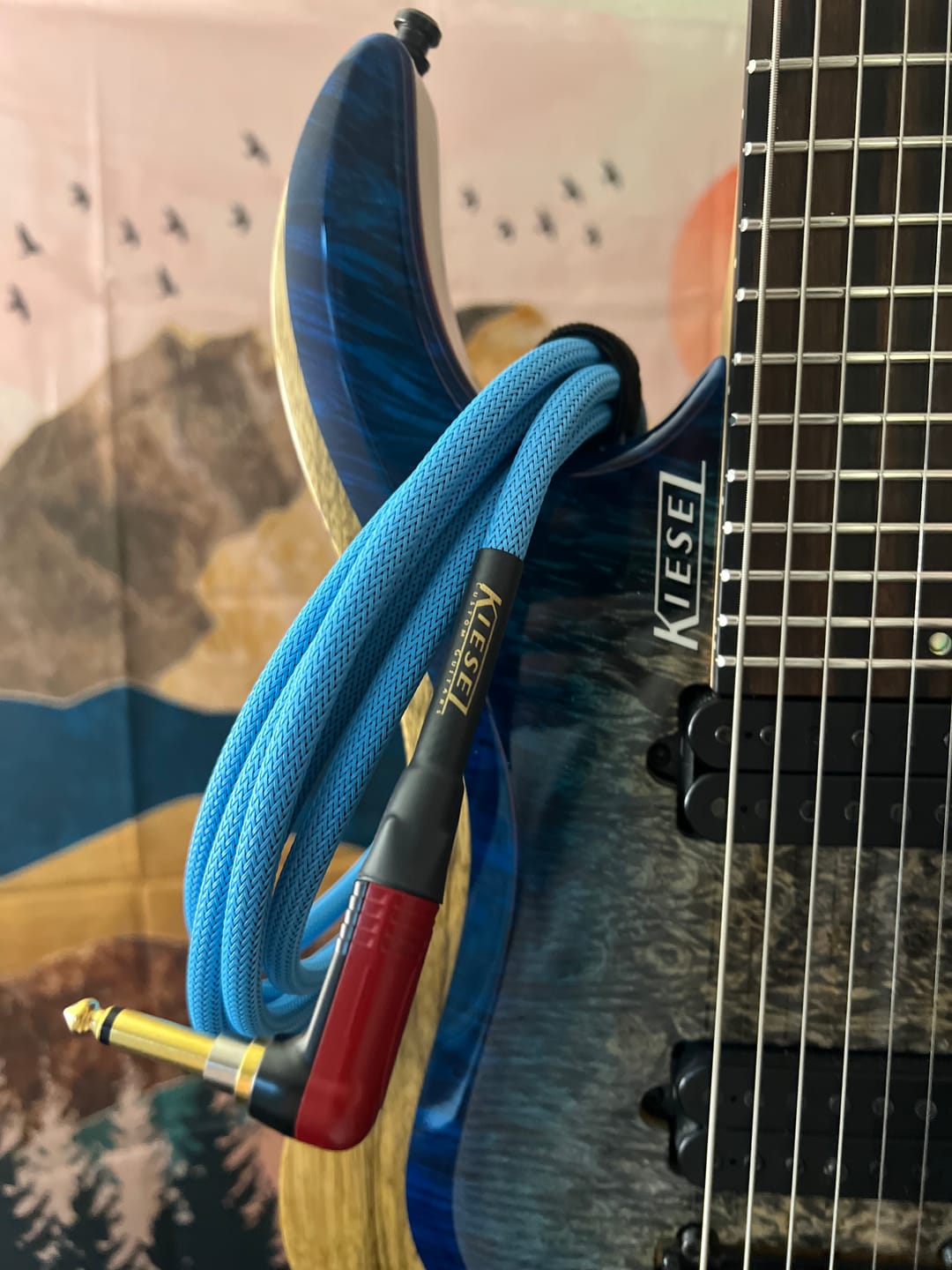Customer photo review of The Kiesel Silent Instrument Cable - Riviera Blue