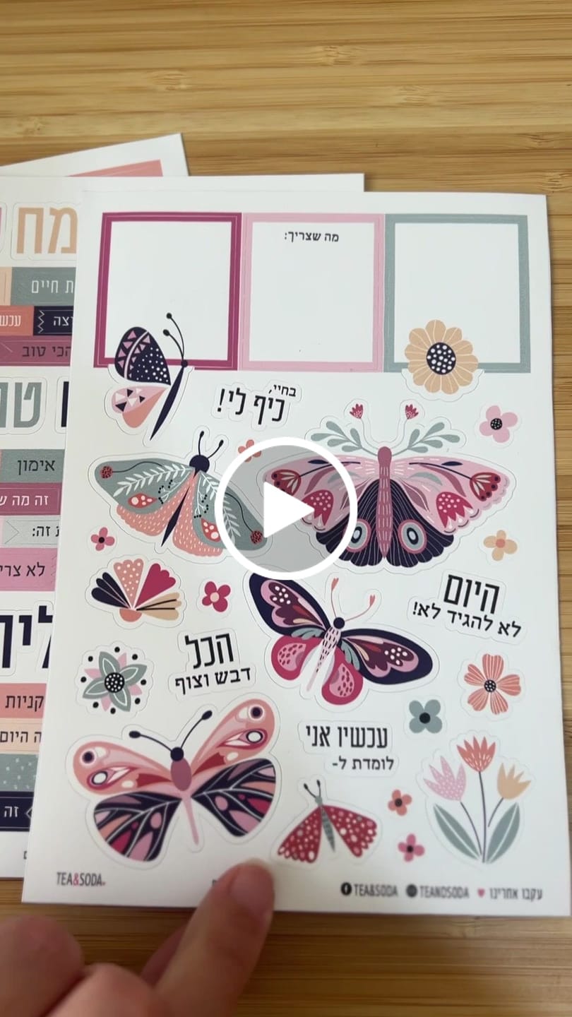 Customer video review of Planner stickers set - Butterflies