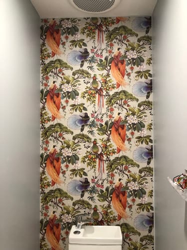 Customer photo review of Yasuni - Orential Tropical Bird Wallpaper - Natural