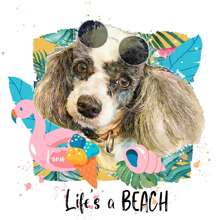 Customer photo review of Pet Pop Art - Summer 2024 (SC)