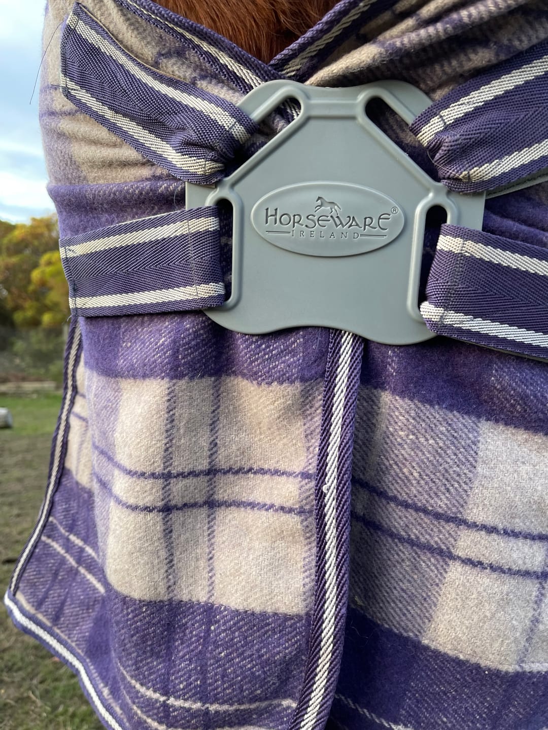 Customer photo review of Horseware Disc - Spare Disc Part