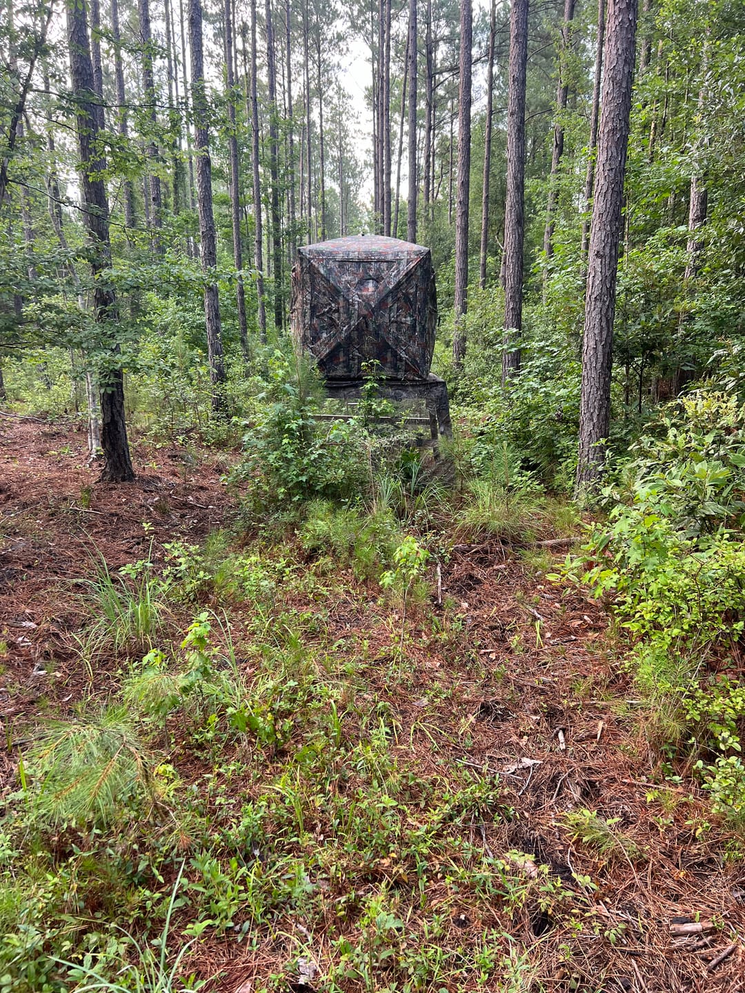 Customer photo review of Hunting Blind 270°See Through with Silent Magnetic Door & Sliding Windows, 2-3 Person Pop Up Ground Blind with Carrying Bag