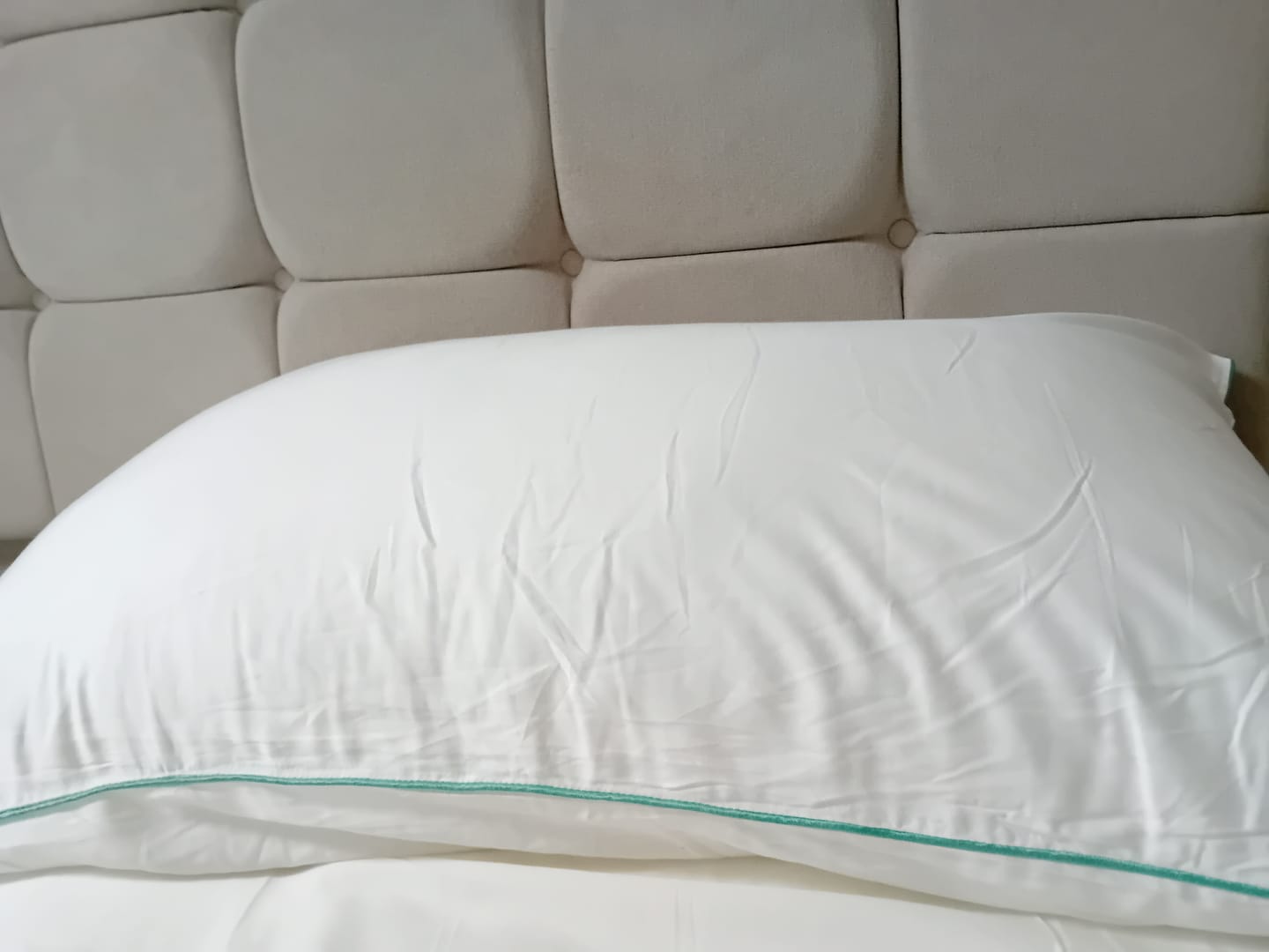 Customer photo review of Martian Dreams Hybrid Pillow 2 Pack