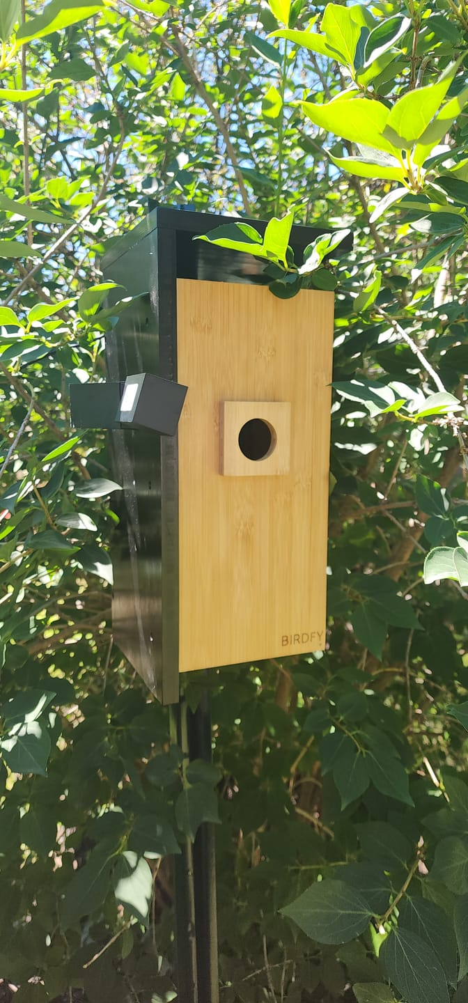 Customer photo review of Birdfy Nest - Smart Bird House with Dual Cameras