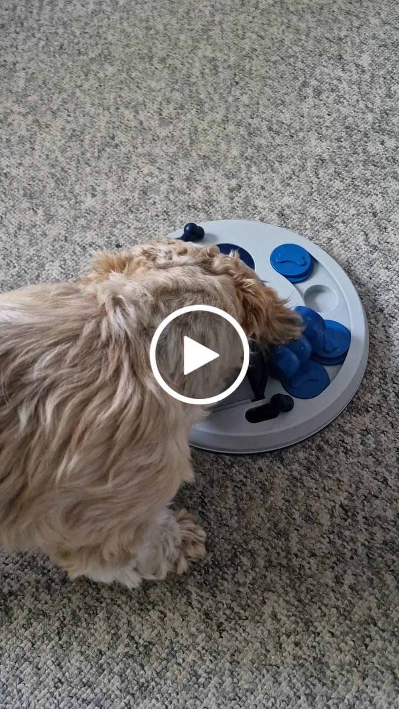 Customer video review of Companion -  Sandwich Twister m. Kylling, 500g