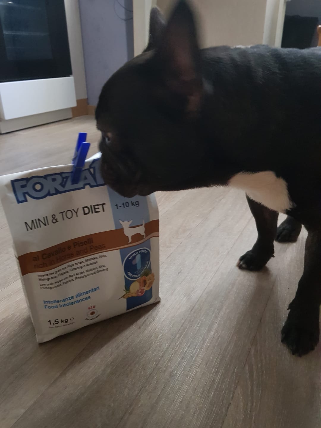 Customer photo review of Mini & Toy DIET ar zirga gaļu un zirņiem