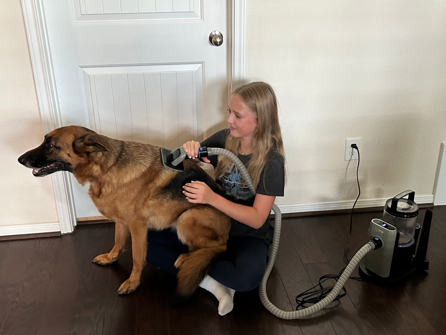 Customer photo review of Professional PLUS Pet Grooming Vacuum Kit