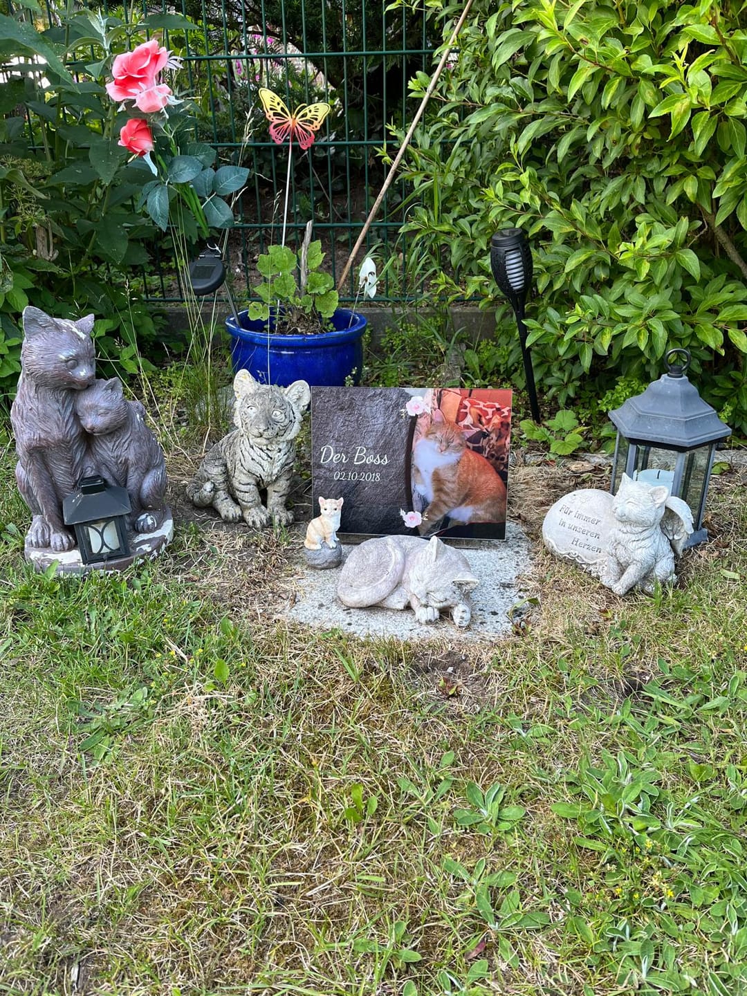 Customer photo review of Katzen Gedenktafel mit Foto & Spruch (UV- & Wetterfest)