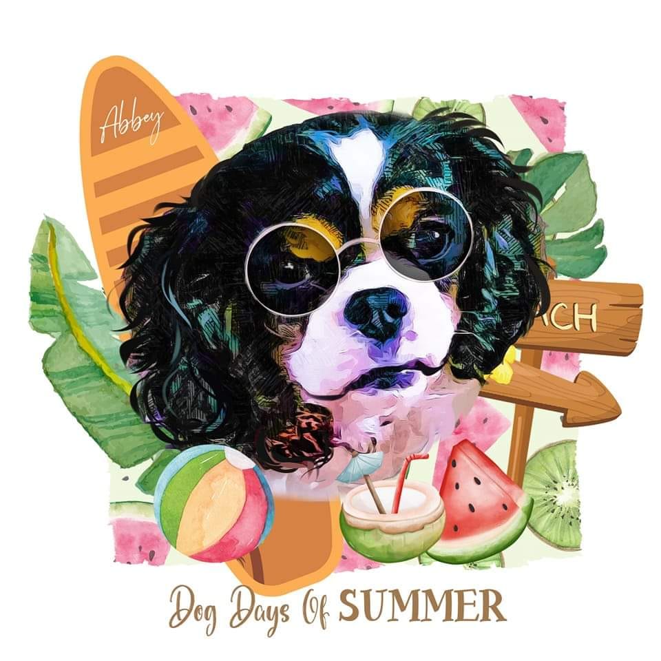 Customer photo review of Pet Pop Art - Summer 2024 (SC)