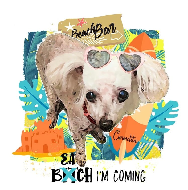 Customer photo review of Pet Pop Art - Summer 2024 (SC)