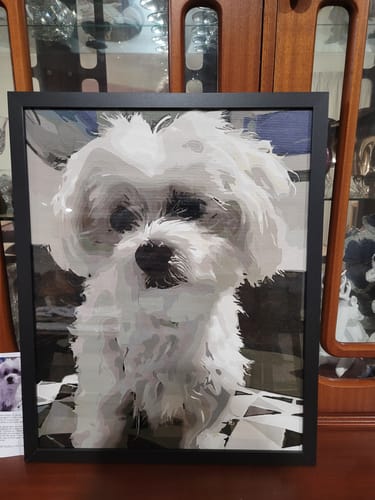 Customer photo review of Custom Paint By Numbers