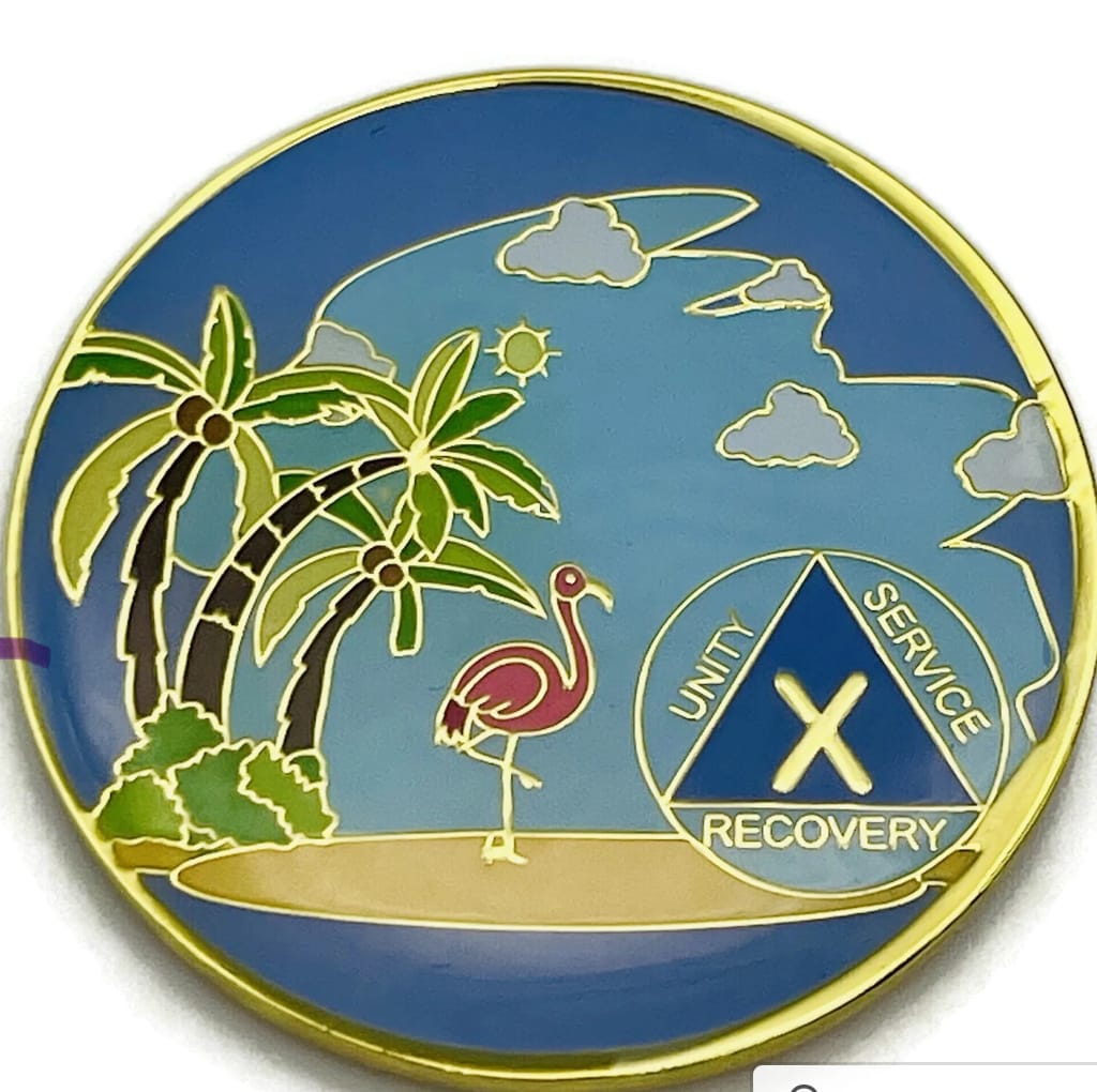 Customer photo review of 10 Year Beach Themed Specialty Tri-Plated AA Recovery Medallion - Ten Year Chip/Coin