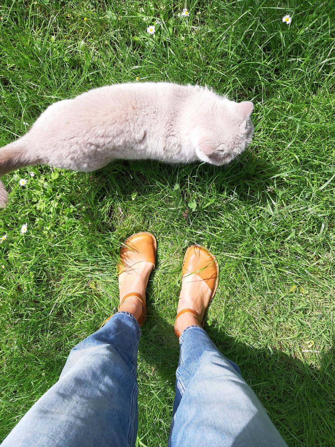 Customer photo review of Trevi Barefoot - Ambra