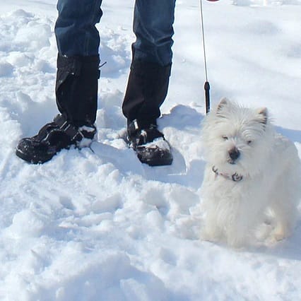 Customer photo review of Adventurer Hi Overshoes