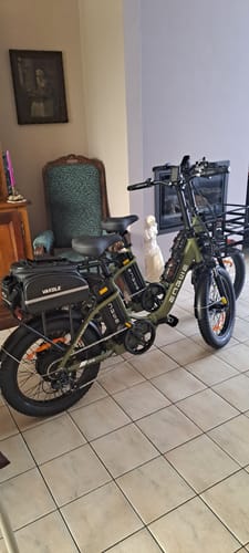 Customer photo review of Engwe L20 SE 250W 20" Foldable Electric Trekking Bike 15.6Ah Step-through E-bike [Pre-Order]
