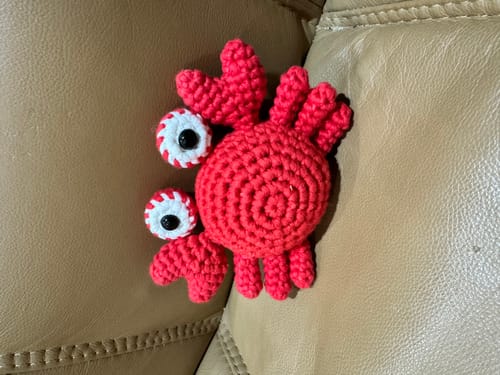 Customer photo review of Crabby Crochet Kit