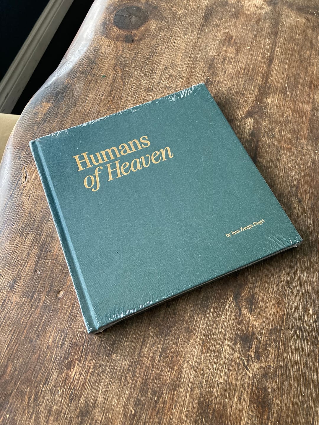 Customer photo review of Humans of Heaven