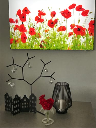 Customer photo review of Wechselmotiv | Mohnfeld | Querformat