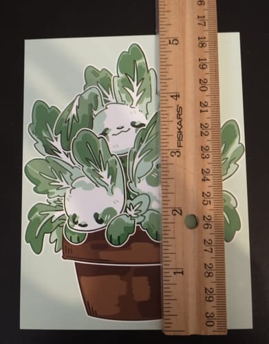 Customer photo review of Potted Pets V2 Mini Prints