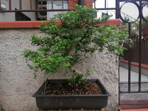 Customer photo review of TOTAL FORCE CB® X2