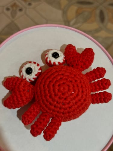 Customer photo review of Crabby Crochet Kit