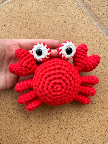 Customer photo review of Crabby Crochet Kit