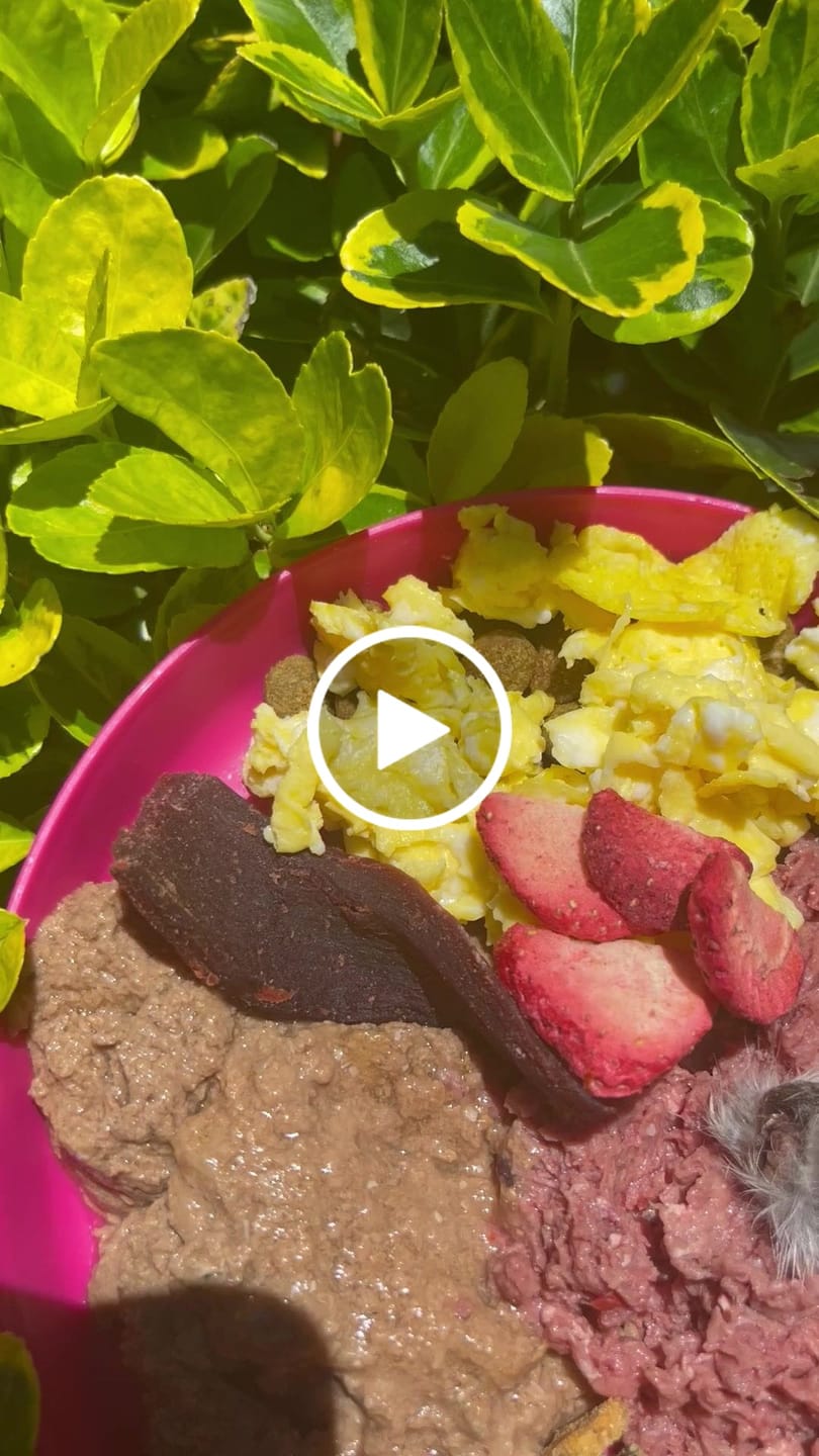 Customer video review of Mini Rabbit Feet