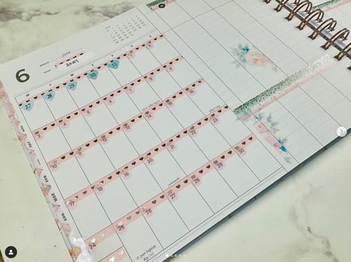 Customer photo review of LDL: 2024-2025 Academic Year MINI Vertical Weekly Planner, Stamp Collector
