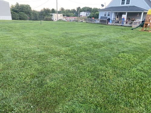Customer photo review of Protene Performance Summer Fertilizer