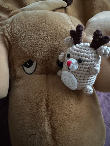 Customer photo review of Buckie Crochet Kit