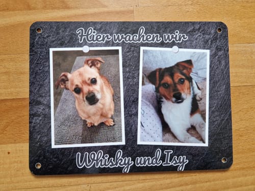Customer photo review of Hunde-Türschild personalisiert mit Foto & Text (UV- und wetterfest)