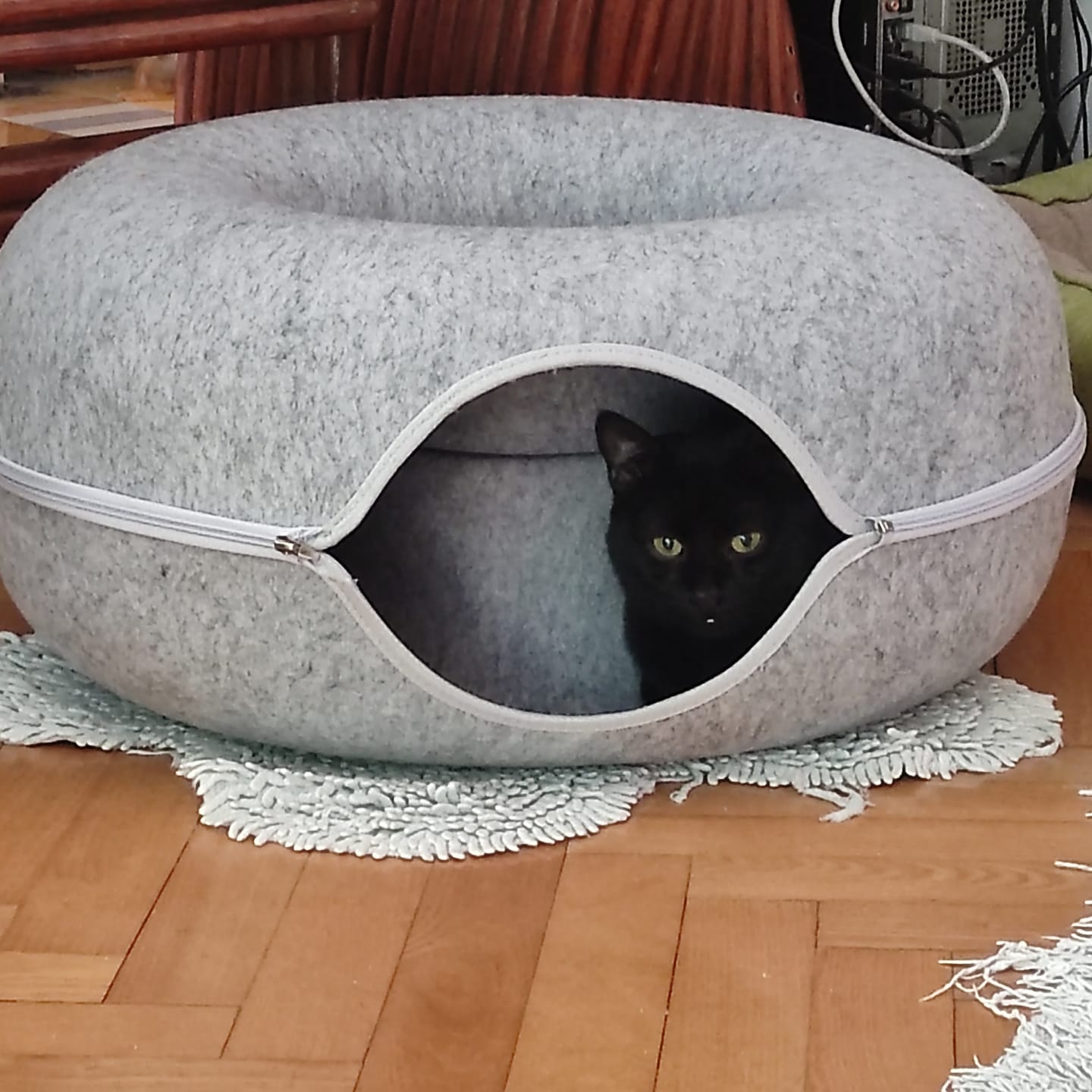 Customer photo review of Tunel Krevet za Mačke