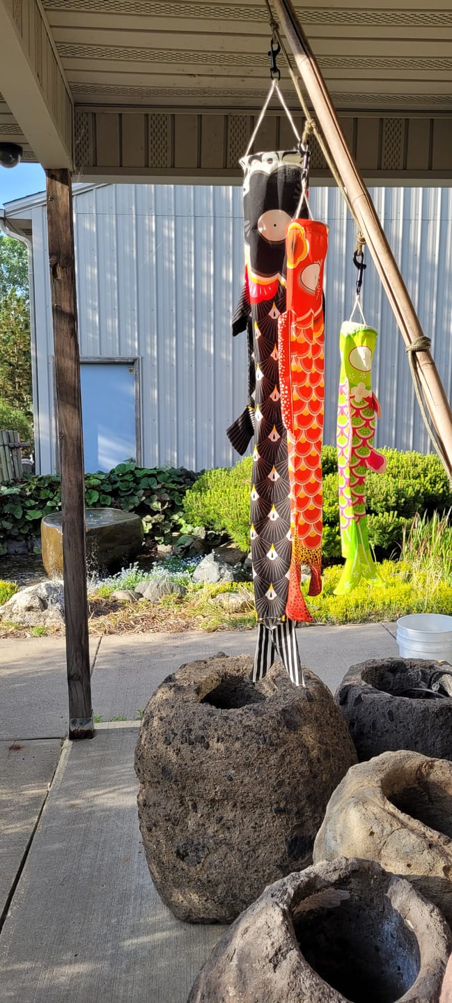 Customer photo review of Koinobori Traditional - Black (M)