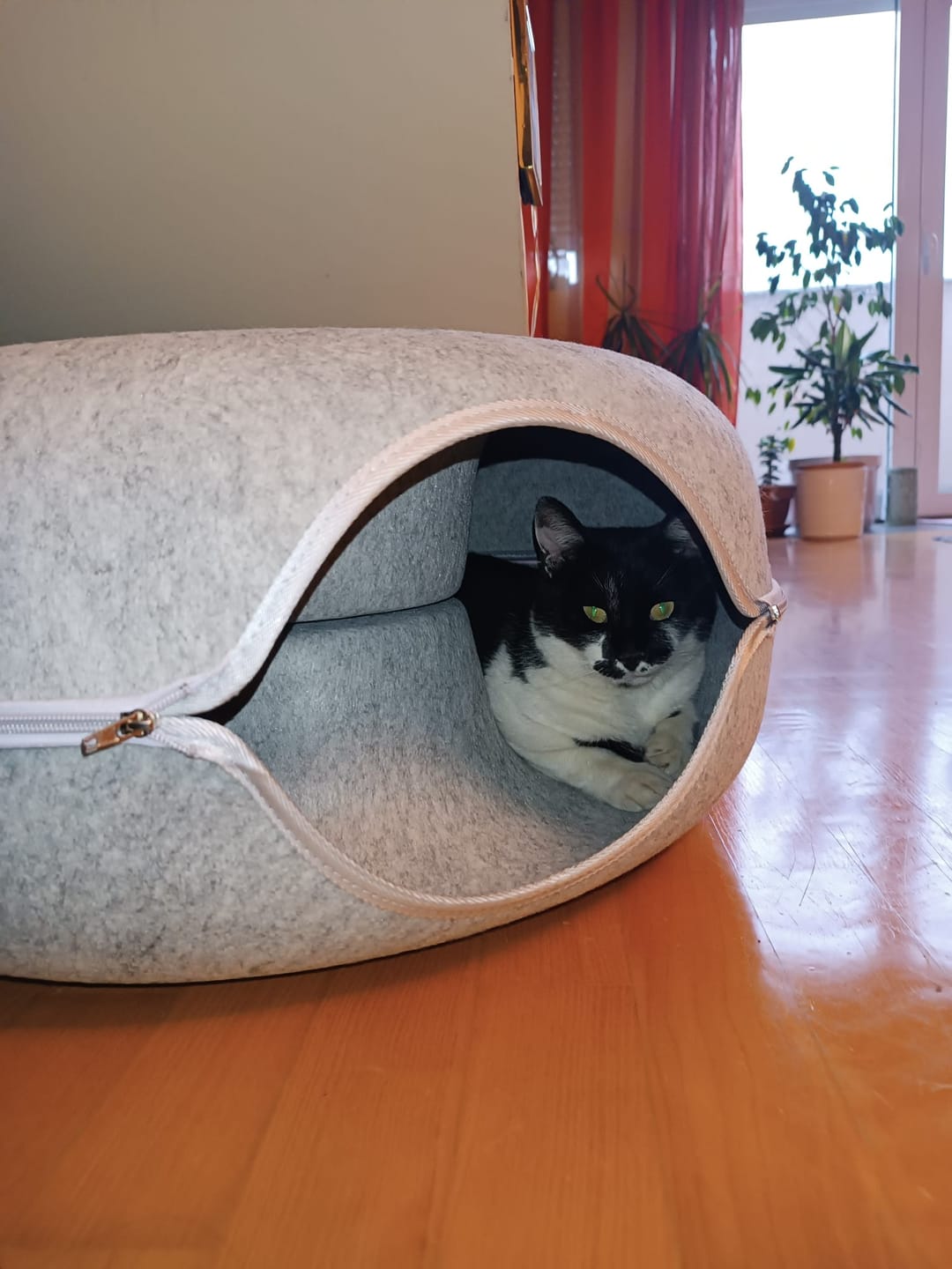 Customer photo review of Tunel Krevet za Mačke