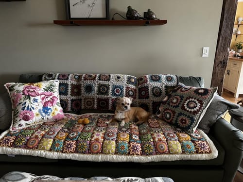 Customer photo review of ペット用キルトソファカバー