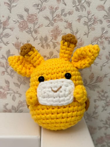 Customer photo review of Tally Crochet Kit
