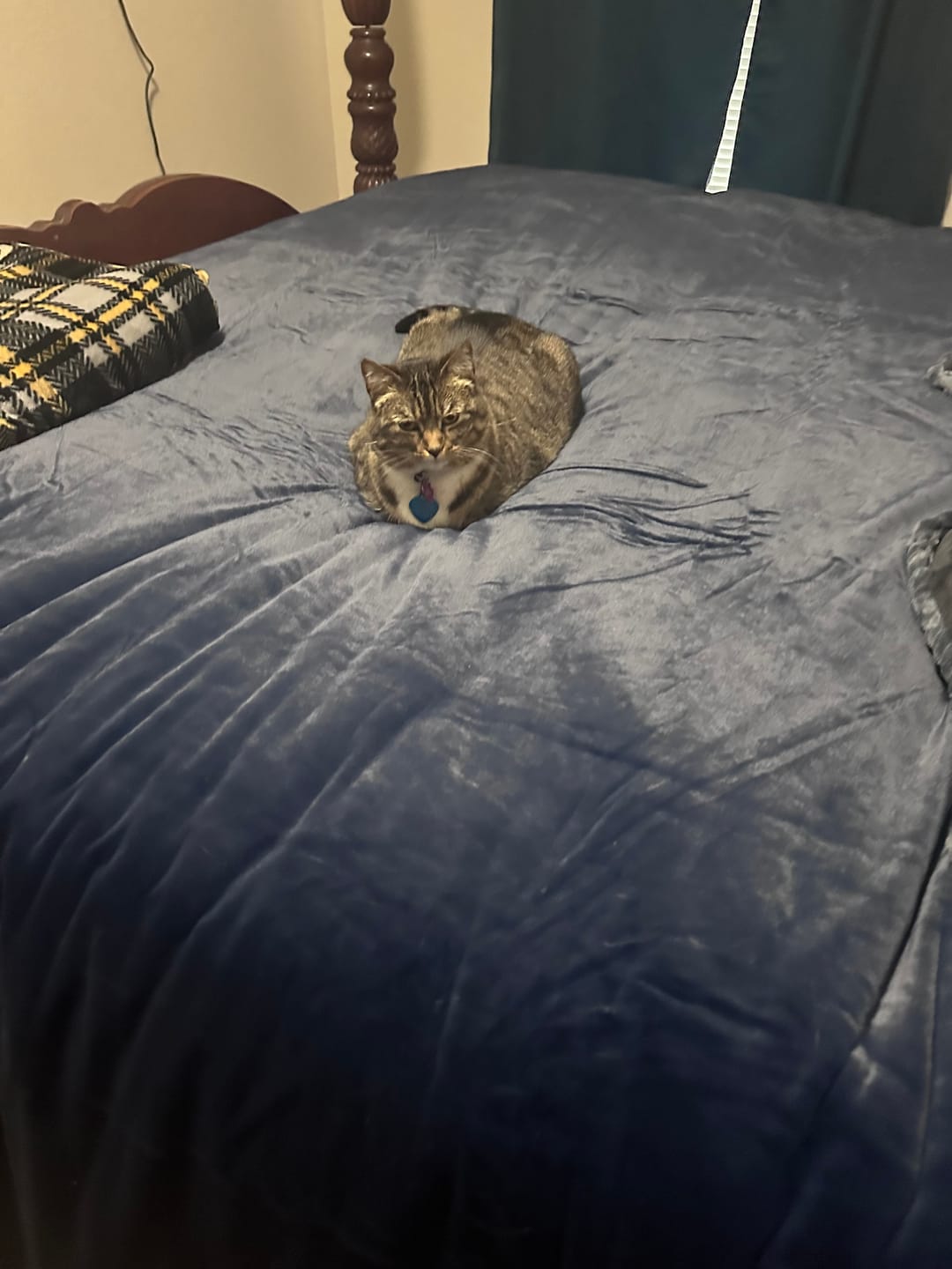 Customer photo review of Amorgos Fine Velvet Bedding Set