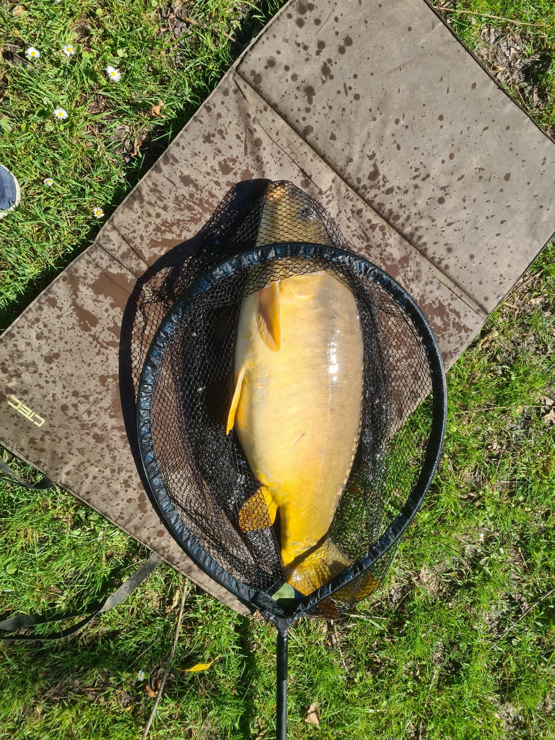Customer photo review of BAIT BOOSTER 500ml