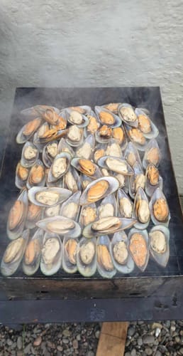 Customer photo review of Live Greenshell Mussels 1KG
