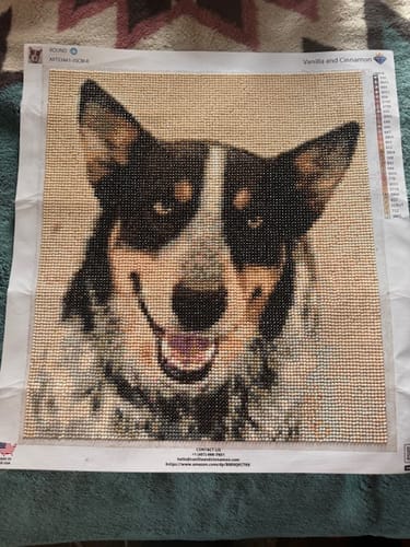 Customer photo review of Custom Diamond Painting Kits for Adults DIY 5D - Photo Diamond Art Shipped from USA