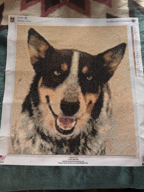 Customer photo review of Custom Diamond Painting Kits for Adults DIY 5D - Photo Diamond Art Shipped from USA