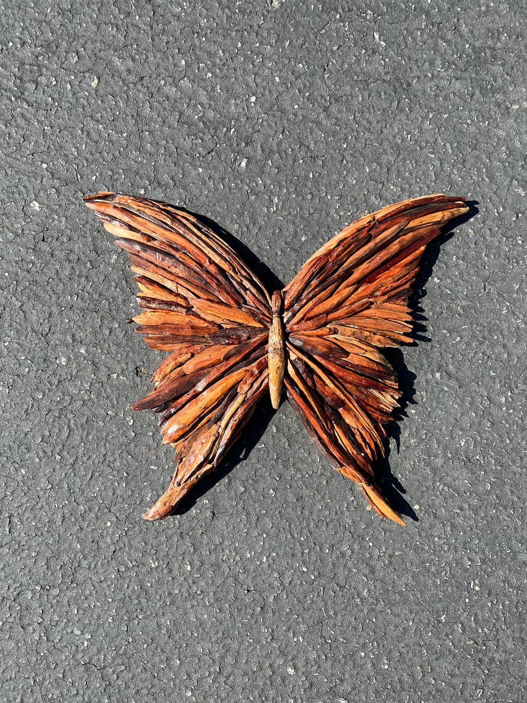 Customer photo review of Unfinished Wood Butterfly Silhouette - Craft- up to 24" DIY