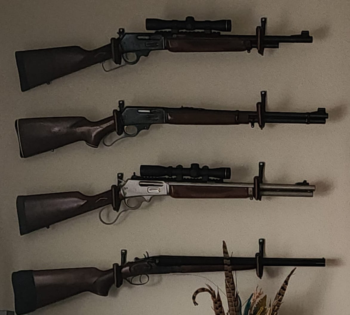 Customer photo review of Gun Hooks