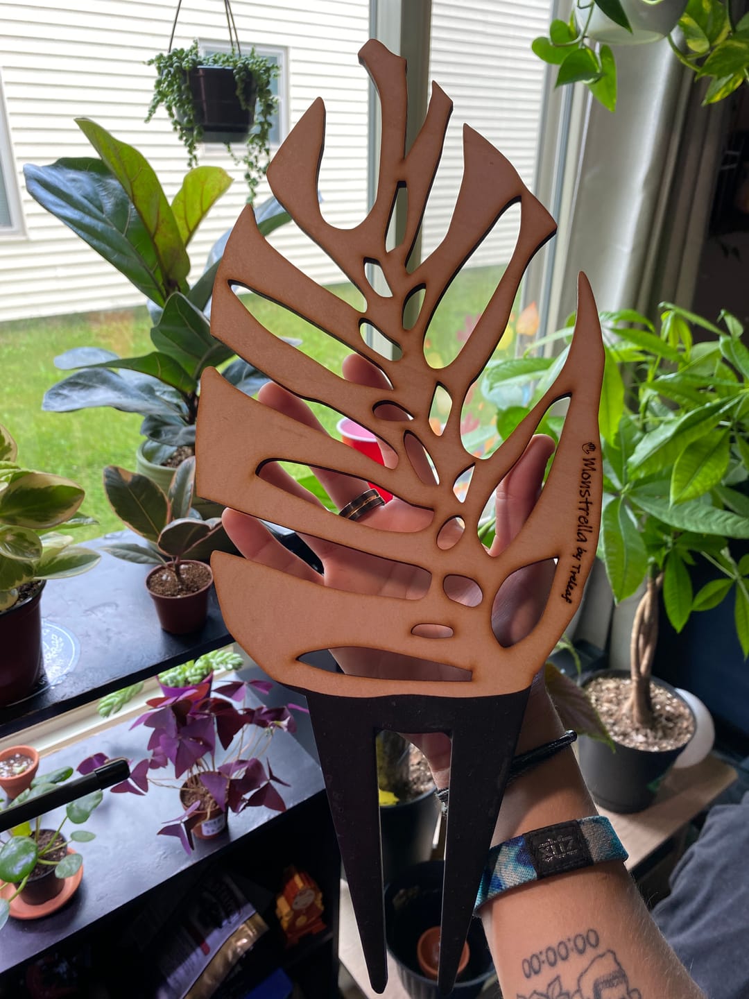 Customer photo review of BARE™ Monstrella™ - Customizable wooden plant support - Inspired by the Monstera leaf