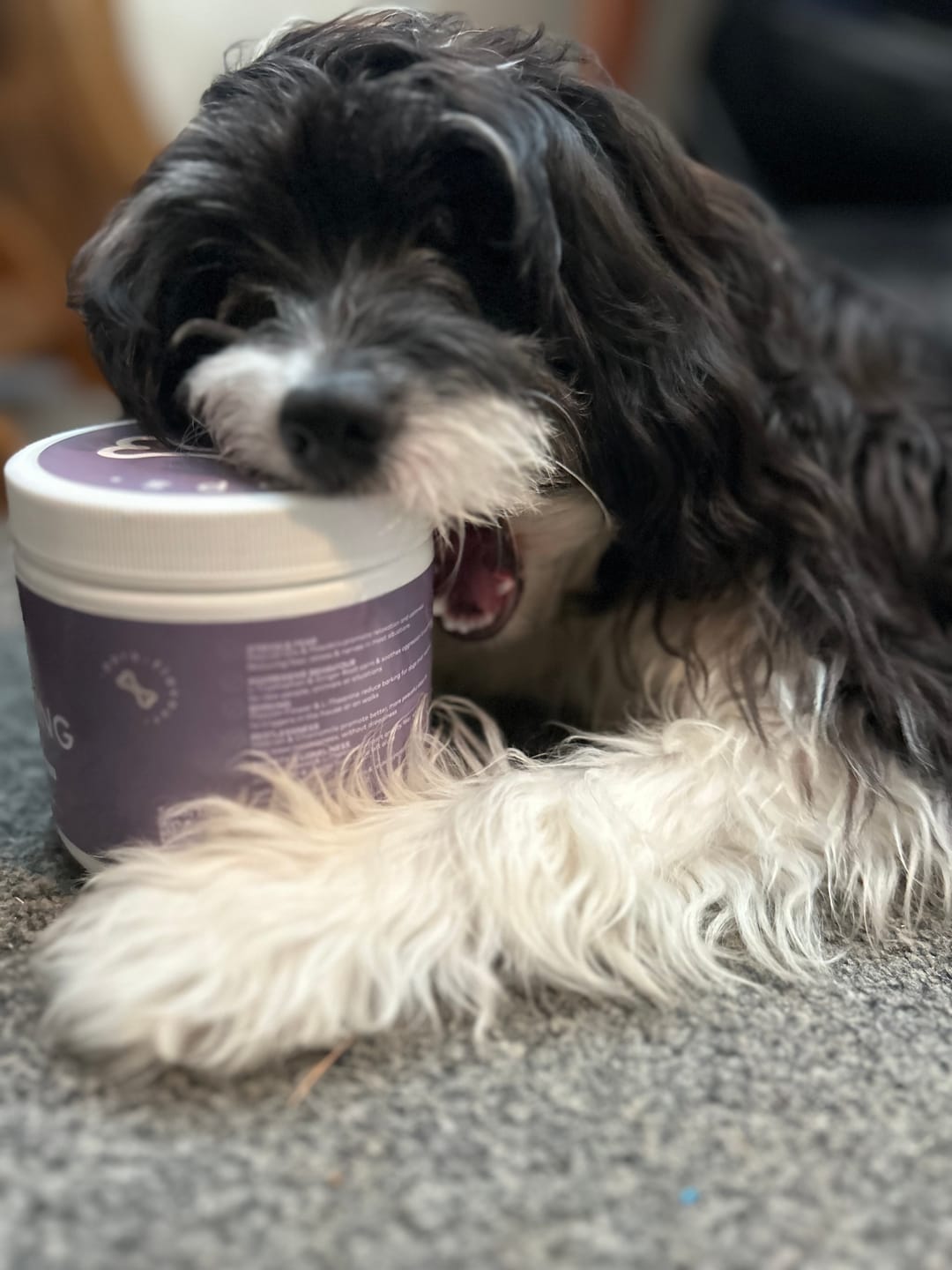 Customer photo review of Calming Treats