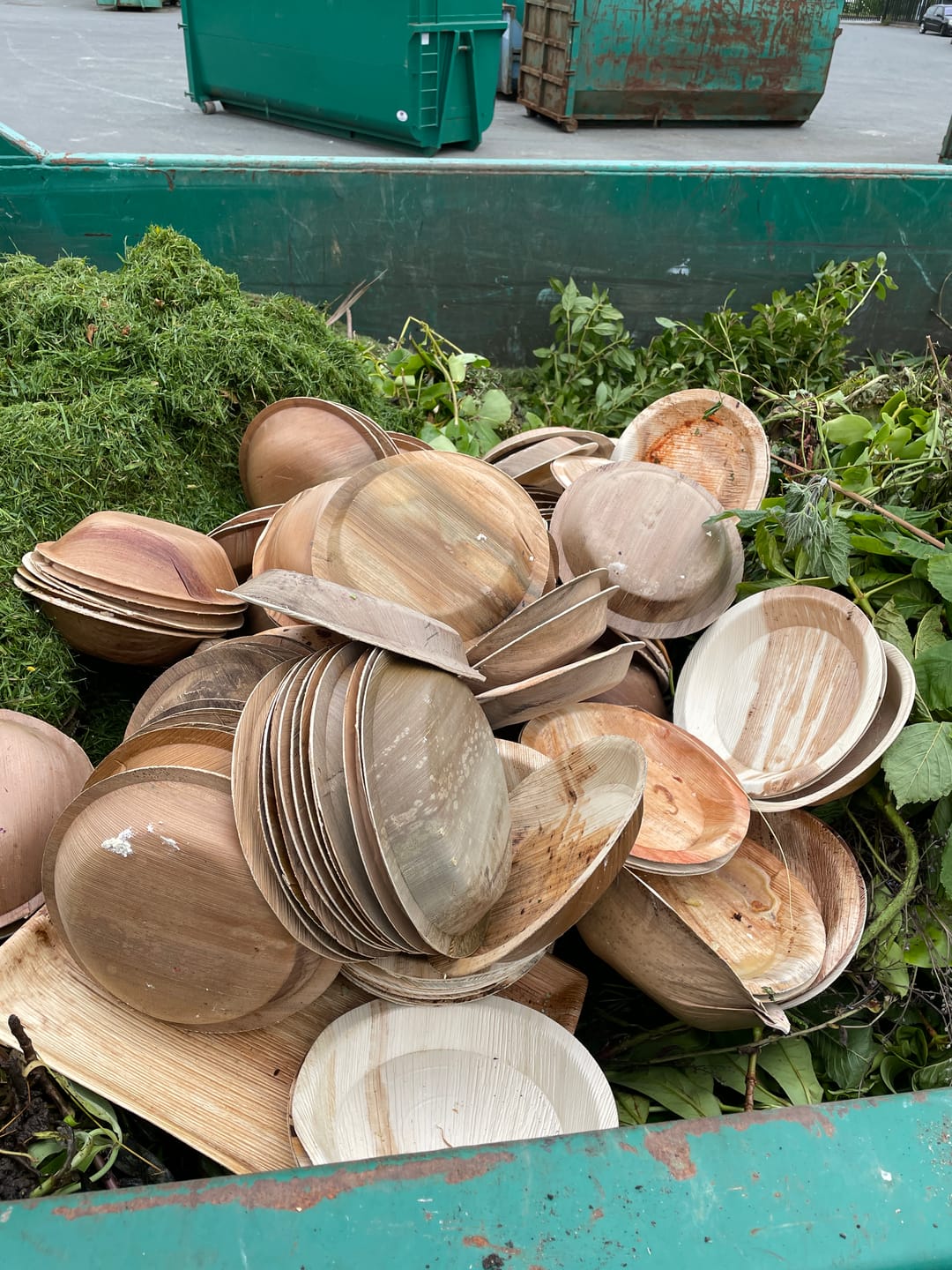 Customer photo review of 10" (25cm) Round Disposable Plates Palm Leaf Bamboo Plates