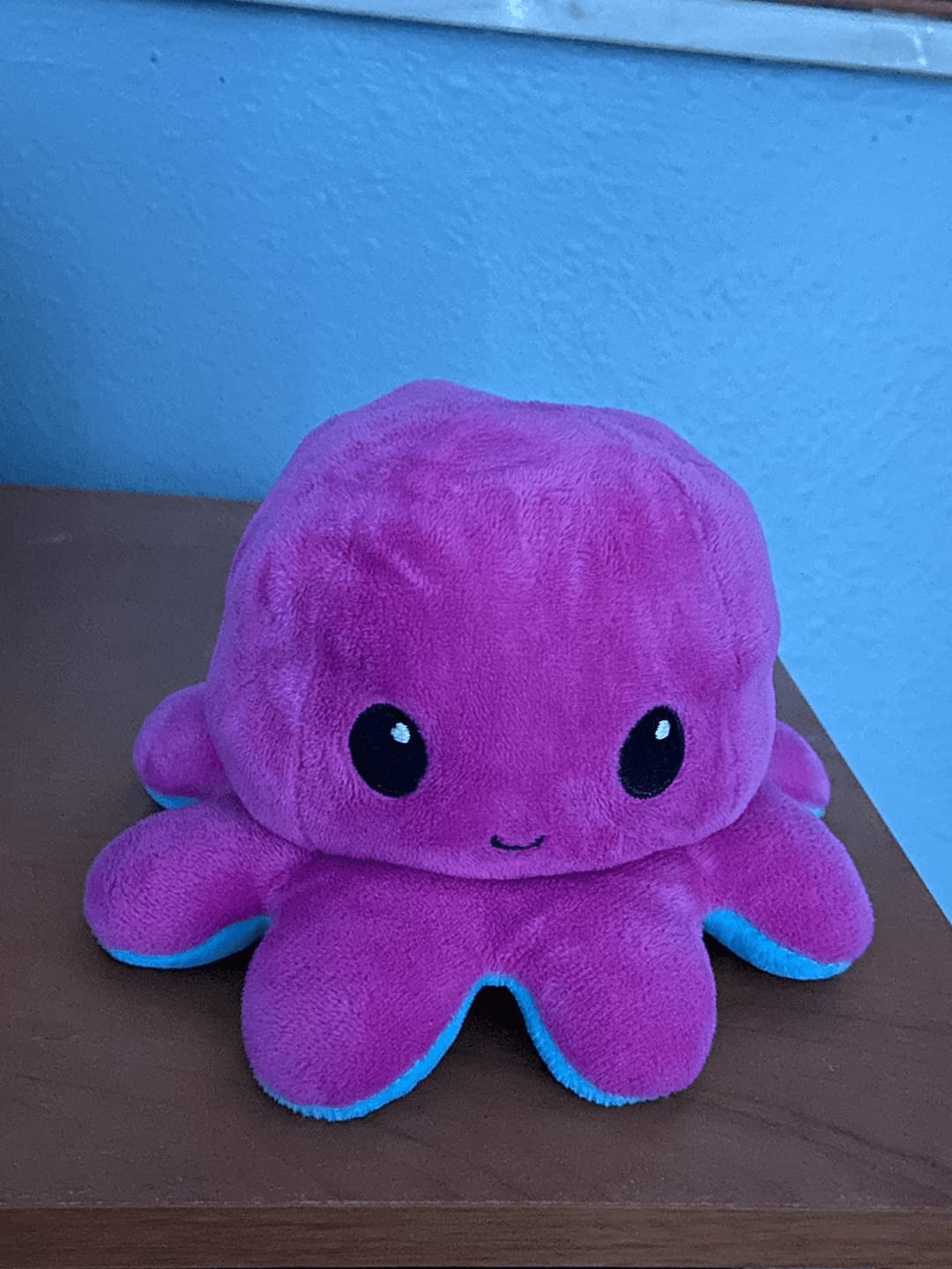 Customer photo review of Octoplushie
