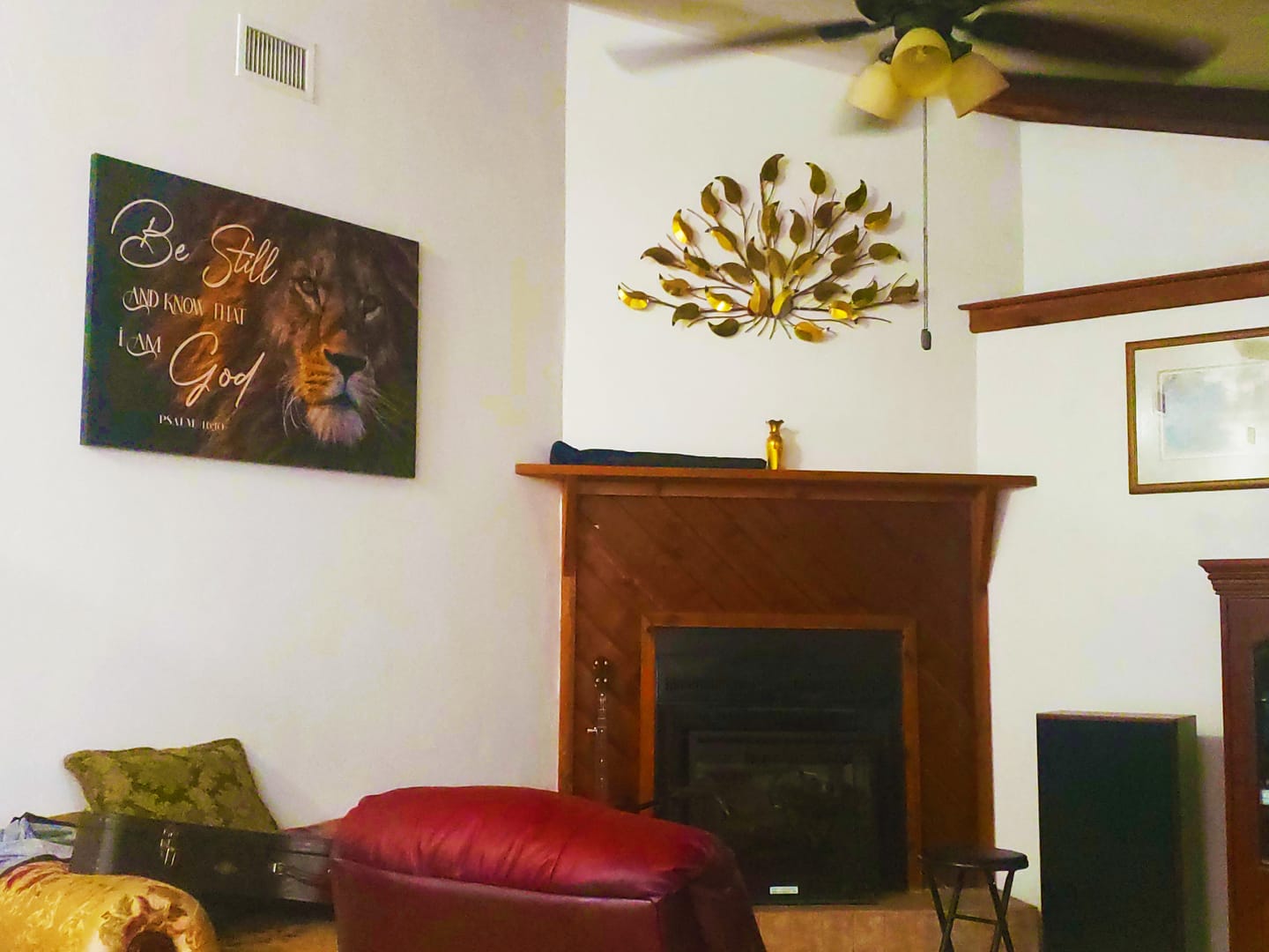 Customer photo review of Lion Of Judah, Be Still And Know That I Am God Wall Art Canvas